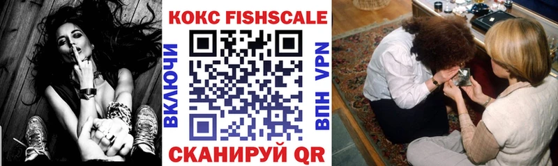 Cocaine Fish Scale  где купить наркоту  Краснозаводск 