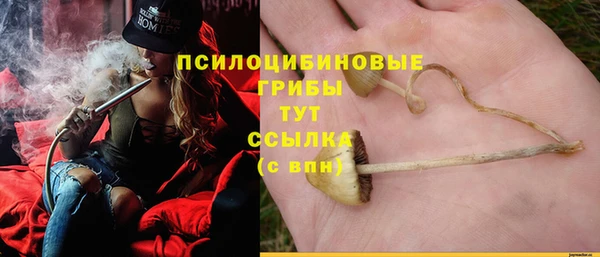 молекула духа Красноперекопск