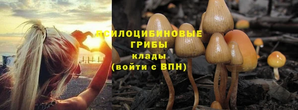 а пвп мука Корсаков