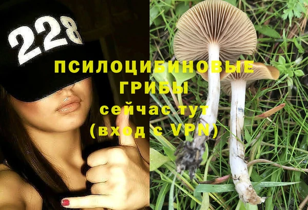а пвп мука Корсаков