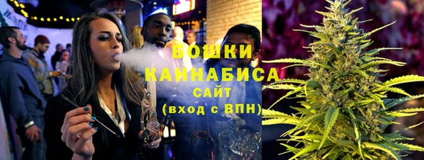 мдпв Костерёво