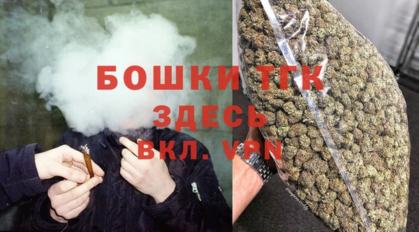 мдпв Костерёво
