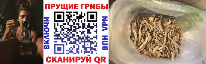 Галлюциногенные грибы MAGIC MUSHROOMS  Краснозаводск 